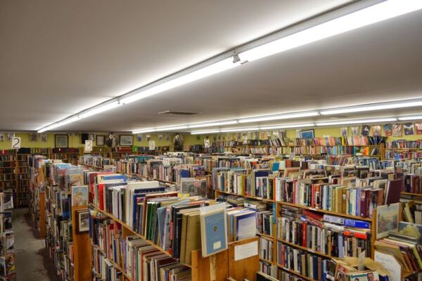 Rows of Stories and Comics Await at The Book Garden in Cream Ridge, New Jersey