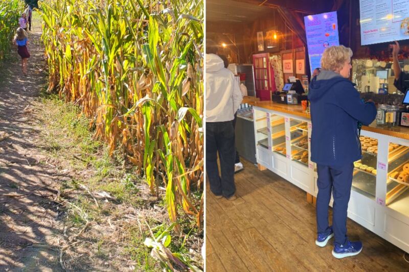 This Michigan Farm Has an 8-Acre Corn Maze, Apple Picking, and Fresh Donuts