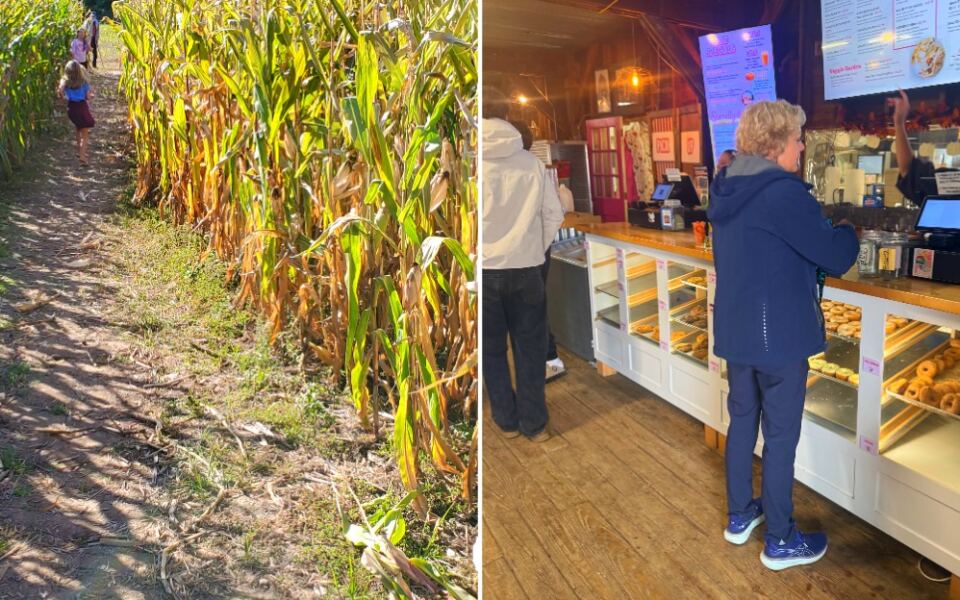This Michigan Farm Has an 8-Acre Corn Maze, Apple Picking, and Fresh Donuts