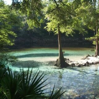 This Quiet Florida Spring Park Charges Just a Few Bucks for Turquoise Water Most Tourists Never Find