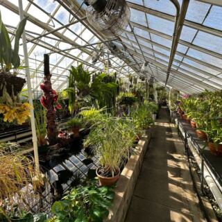 This Massachusetts Garden Hides a Glasshouse Filled With Plants From Around the World