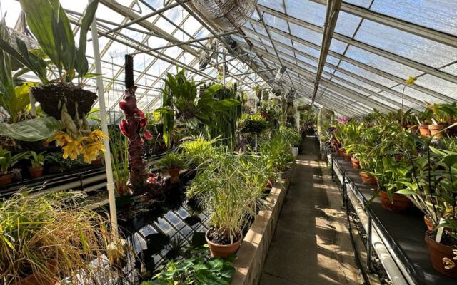 This Massachusetts Garden Hides a Glasshouse Filled With Plants From Around the World