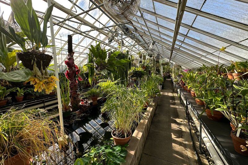 This Massachusetts Garden Hides a Glasshouse Filled With Plants From Around the World