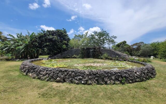 This 37-Acre Florida Fruit Park Lets You Taste Hundreds of Exotic Varieties for $15