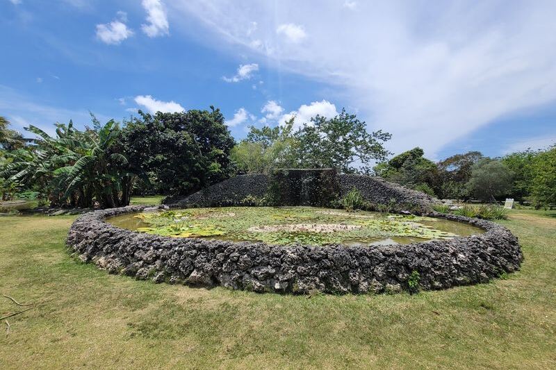 This 37-Acre Florida Fruit Park Lets You Taste Hundreds of Exotic Varieties for $15