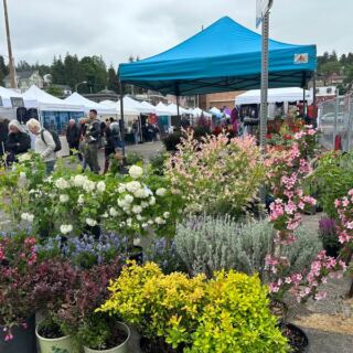 Live Music and Local Vendors Turn Every Sunday Into a Festival at This Oregon Flea Market