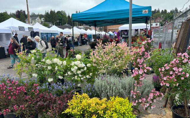 Live Music and Local Vendors Turn Every Sunday Into a Festival at This Oregon Flea Market