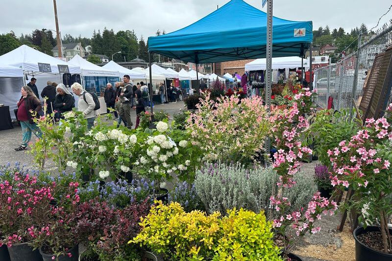 Live Music and Local Vendors Turn Every Sunday Into a Festival at This Oregon Flea Market