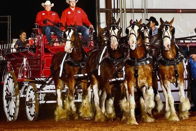 This Family Farm Near McAlester, Oklahoma Raises Clydesdales You Can See Up Close