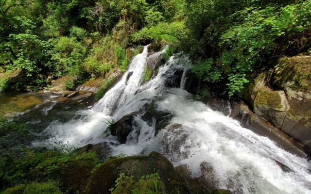 This Easy 1.5-Mile Oregon Waterfall Trail Is at Its Loudest Once the Fall Rains Arrive