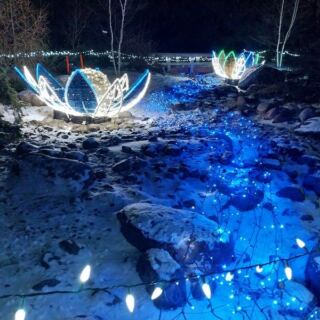 Admission Costs Nothing At Como Park’s Neighbor, The Minnesota Landscape Arboretum’s Free Winter Days