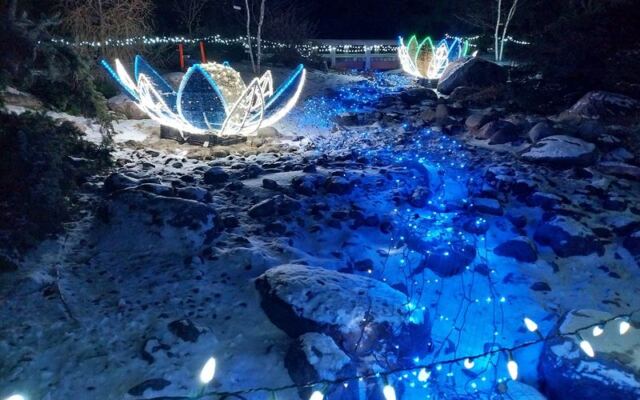 Admission Costs Nothing At Como Park’s Neighbor, The Minnesota Landscape Arboretum’s Free Winter Days