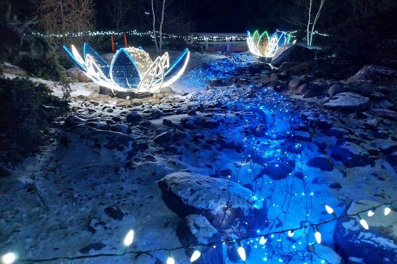 Admission Costs Nothing At Como Park’s Neighbor, The Minnesota Landscape Arboretum’s Free Winter Days