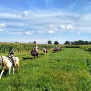 These 8 Illinois Stables Put First-Time Riders On Gentle Horses
