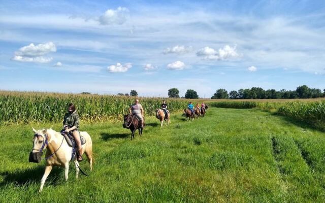 These 8 Illinois Stables Put First-Time Riders On Gentle Horses