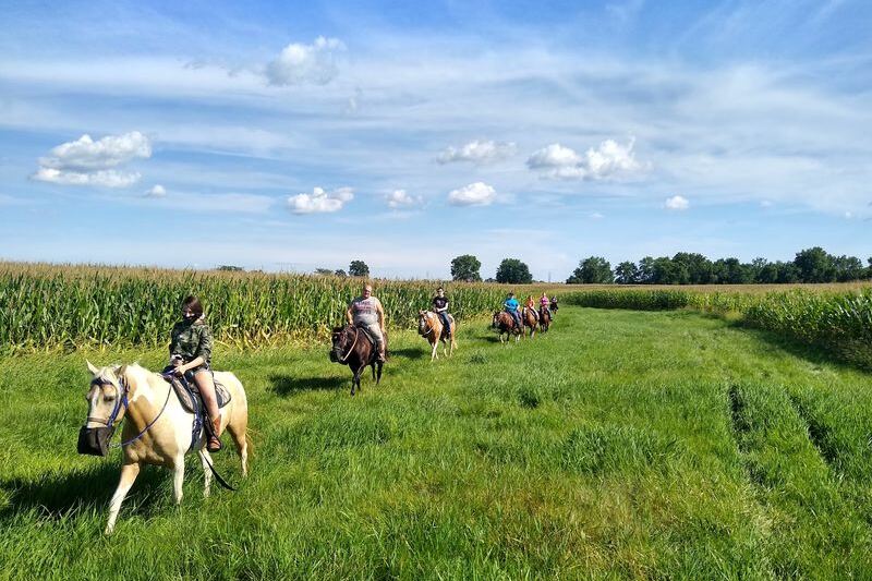 These 8 Illinois Stables Put First-Time Riders On Gentle Horses
