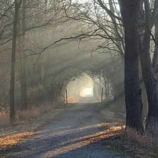 8 Flat Illinois Rail Trails Where You’ll Ride For Miles Without A Single Hill