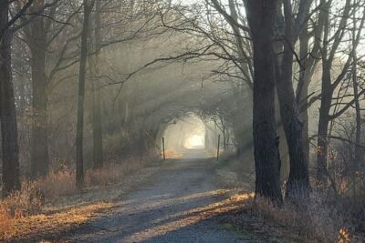 8 Flat Illinois Rail Trails Where You’ll Ride For Miles Without A Single Hill