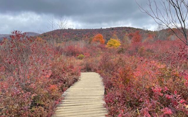 This Easy 1.3-Mile North Carolina Loop Is Bursting With Peak Fall Color Right Now