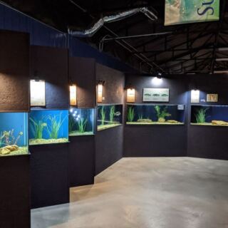 Quail Eat Right From Kids’ Hands at This Little Aquarium in Oklahoma’s Wichita Mountains