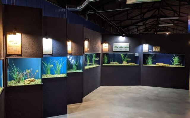Quail Eat Right From Kids’ Hands at This Little Aquarium in Oklahoma’s Wichita Mountains