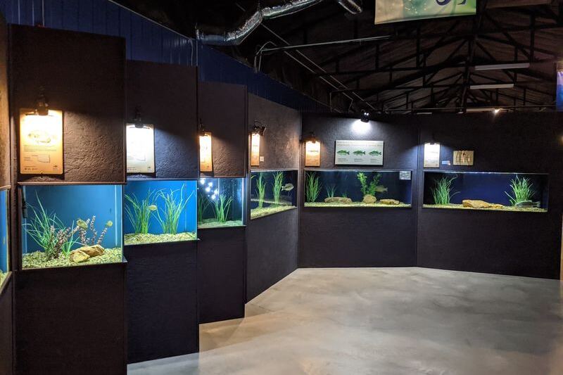 Quail Eat Right From Kids’ Hands at This Little Aquarium in Oklahoma’s Wichita Mountains