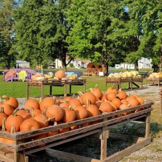 Spooky Rides Await At The Hayride Spots These 5 Ohio Farms Run Through Halloween