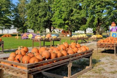 Spooky Rides Await At The Hayride Spots These 5 Ohio Farms Run Through Halloween