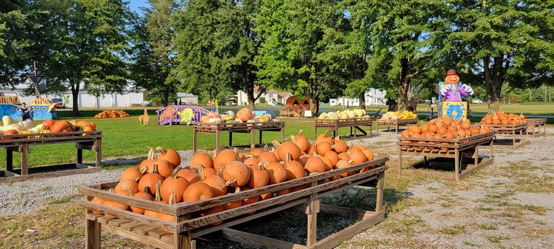 Spooky Rides Await At The Hayride Spots These 5 Ohio Farms Run Through Halloween