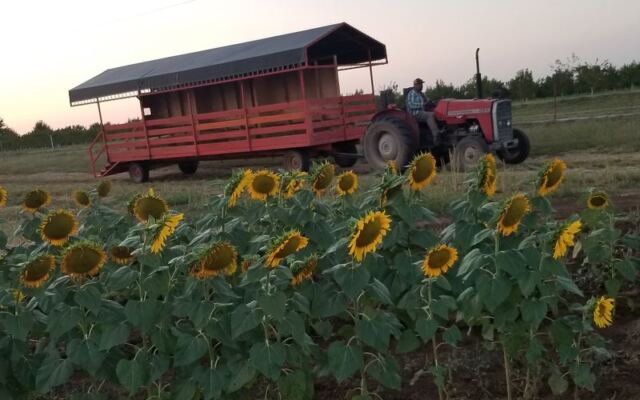 Pick Your Own Bright Orange Gourds and Ride a Hay Wagon at This Oklahoma Orchard Near Porter
