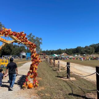 Pick Your Own Pumpkin, Then Grab Hot Kettle Corn at Cottle Farms in Columbia, South Carolina