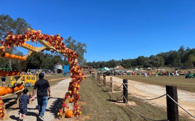 Pick Your Own Pumpkin, Then Grab Hot Kettle Corn at Cottle Farms in Columbia, South Carolina