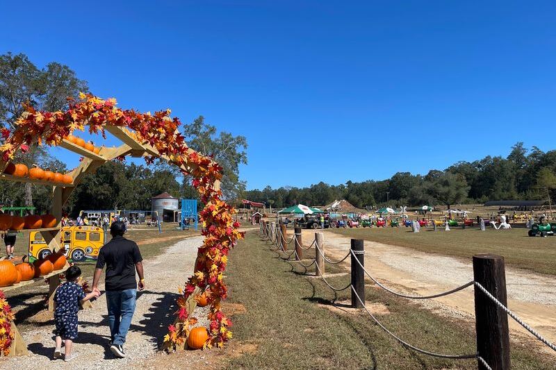 Pick Your Own Pumpkin, Then Grab Hot Kettle Corn at Cottle Farms in Columbia, South Carolina