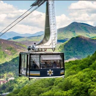 Grandparents Love These 9 Tennessee Attractions Where There’s Plenty to See Without Much Walking