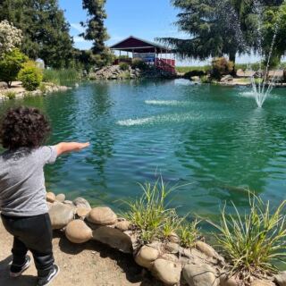 This California Family Fruit Barn Has Pies So Good and a Free Farm Park So Fun Families Stay for Hours