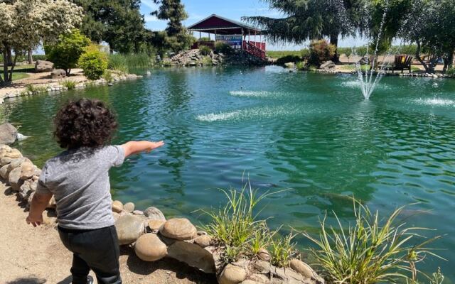 This California Family Fruit Barn Has Pies So Good and a Free Farm Park So Fun Families Stay for Hours