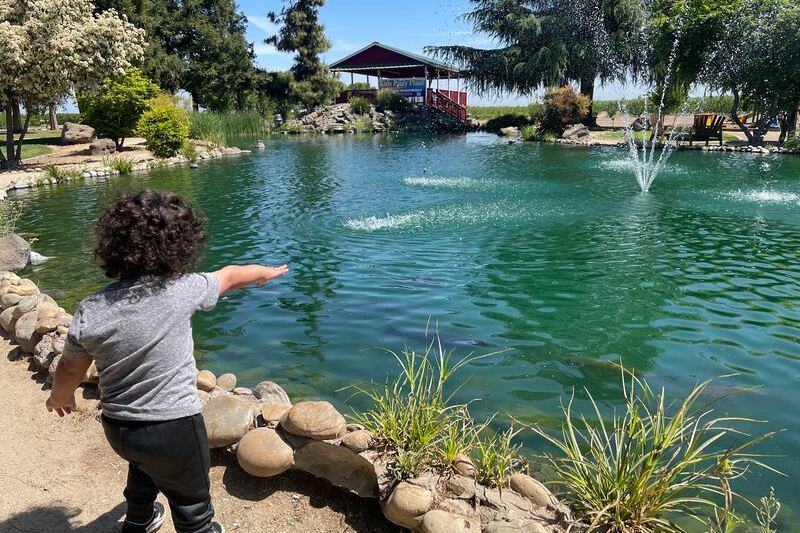 This California Family Fruit Barn Has Pies So Good and a Free Farm Park So Fun Families Stay for Hours