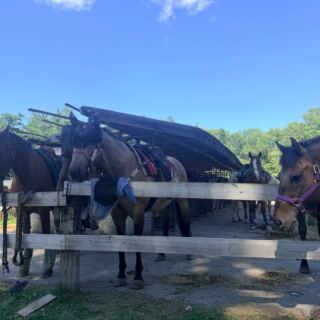 This Family-Owned Massachusetts Ranch Leads Guided Trail Rides On Gentle Horses, Even For First-Timers