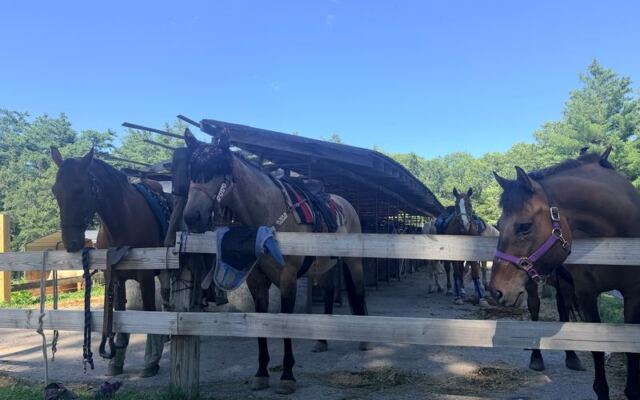This Family-Owned Massachusetts Ranch Leads Guided Trail Rides On Gentle Horses, Even For First-Timers