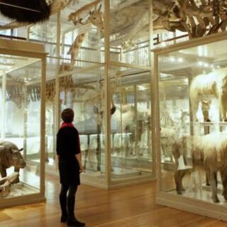 This Cambridge Museum Brings Centuries of Art Under One Stunning Roof