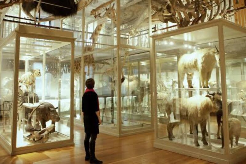 This Cambridge Museum Brings Centuries of Art Under One Stunning Roof