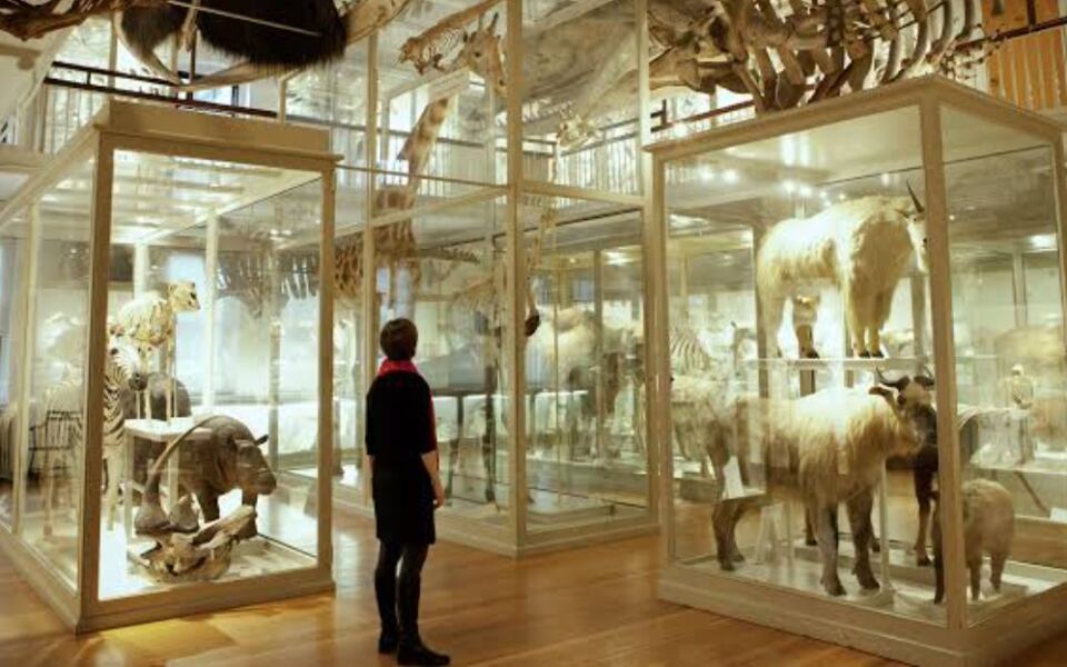 This Cambridge Museum Brings Centuries of Art Under One Stunning Roof