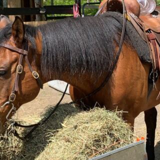 Groom Your Horse Then Hit The Trails At This Cape Cod, Massachusetts Farm