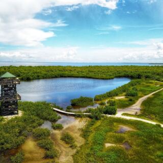 Robinson Preserve in Bradenton, Florida, Offers Free Trails Through Restored Coastal Wetlands