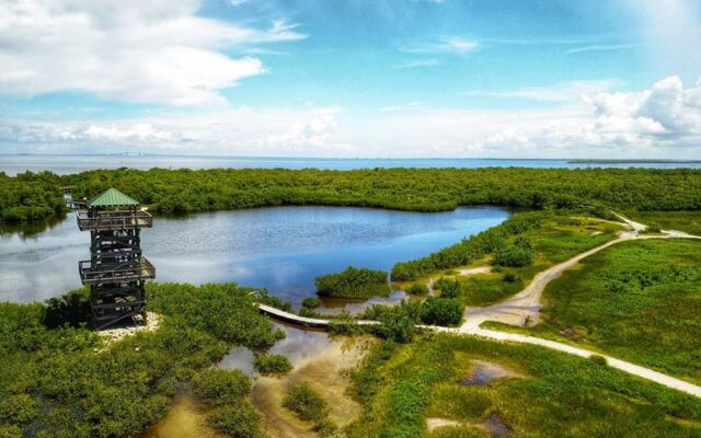 Robinson Preserve in Bradenton, Florida, Offers Free Trails Through Restored Coastal Wetlands