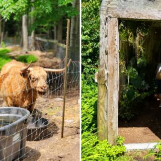 This New Hampshire Garden Has a Tropical Greenhouse and Friendly Animals