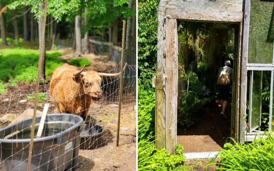 This New Hampshire Garden Has a Tropical Greenhouse and Friendly Animals