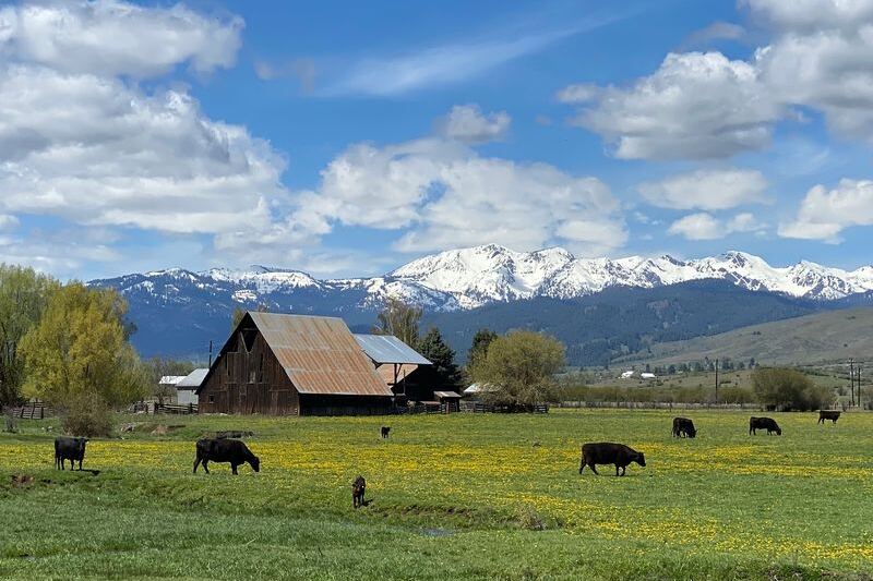Tiny Halfway, Oregon Has Mountains on Every Horizon and Night Skies Packed With Stars