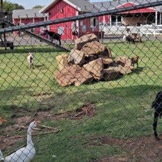 With Pony Rides, a Petting Zoo, and a Farm Train, This Oklahoma Family Farm Keeps Kids Busy for Hours