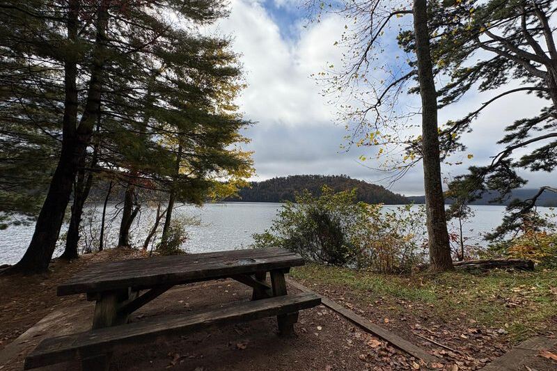 4 Free North Carolina Campgrounds Where a Tent Site Costs You Nothing but the Drive